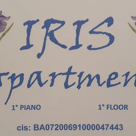 Iris Qsella *